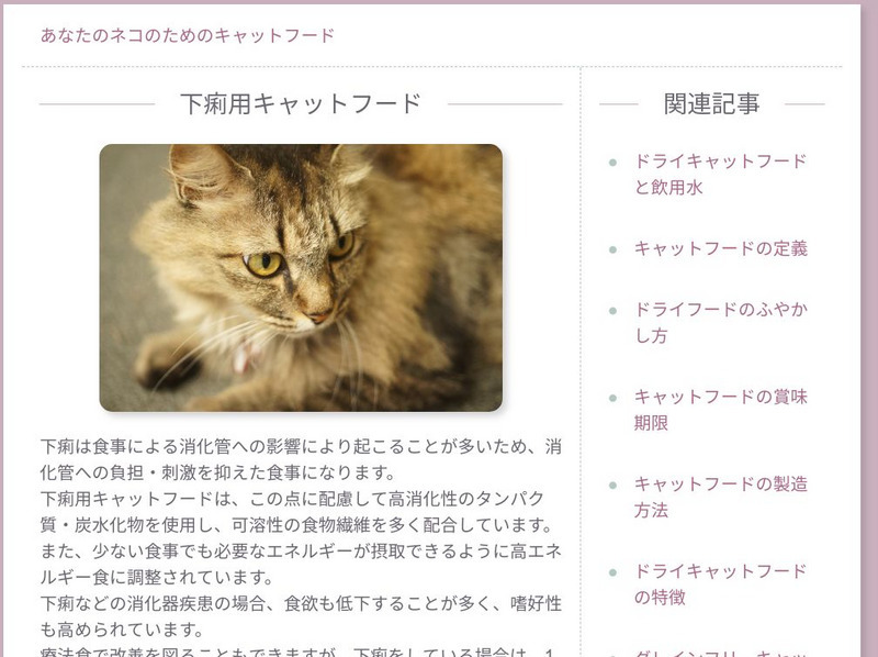 Learni T Teachi T: Discovering the Internet Instructional Video