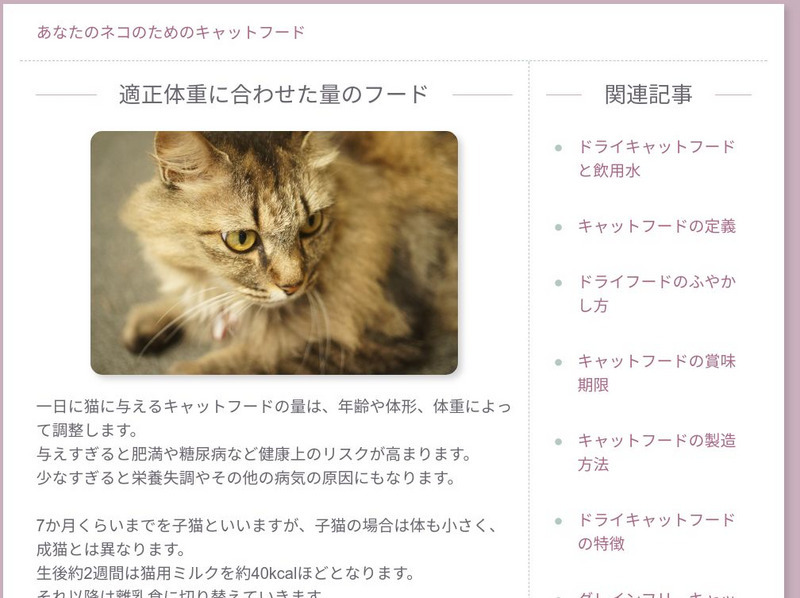 Learni T Teachi T: Digital Audio Curriculum Instructional Video