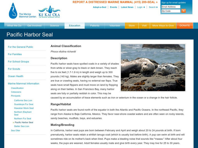 Marine Mammal Center: Harbor Seal Handout