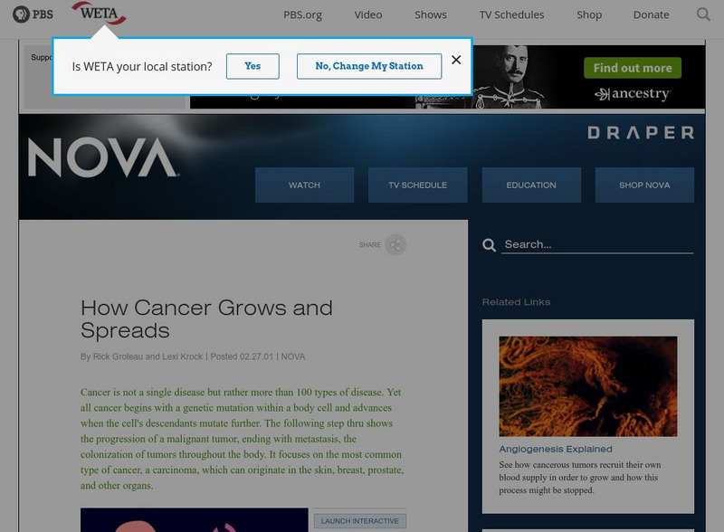 Pbs Teachers: Cancer Warrior: How Cancer Grows PPT Pbs Teachers: Cancer Warrior: How Cancer Grows PPT