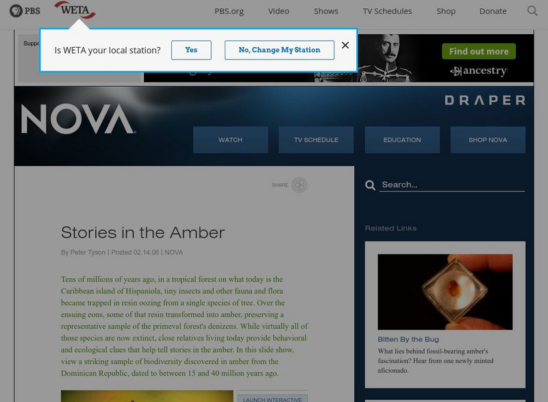 Nova: Stories in Amber Interactive Nova: Stories in Amber Interactive