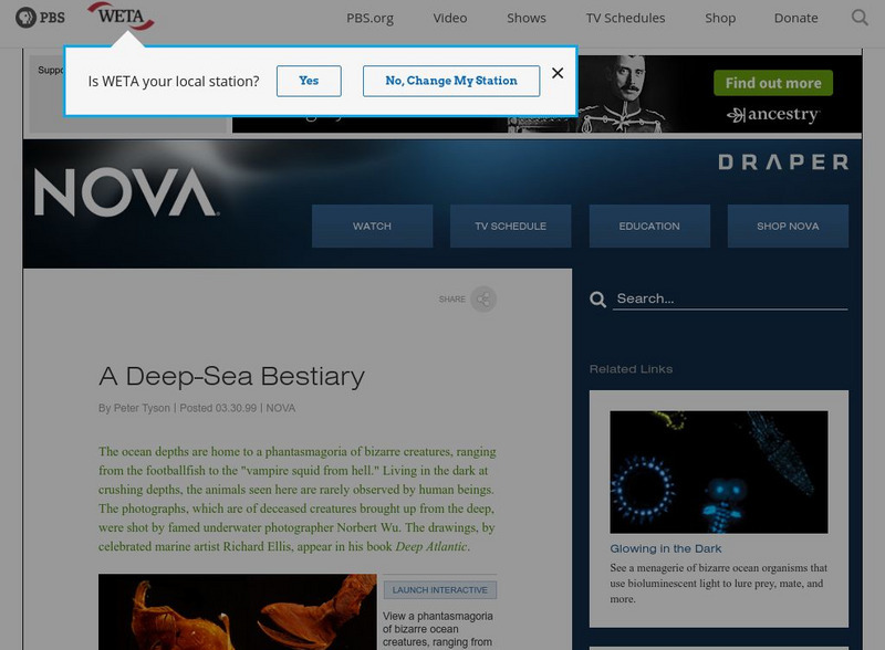 Nova: Deep Sea Beastiary Graphic
