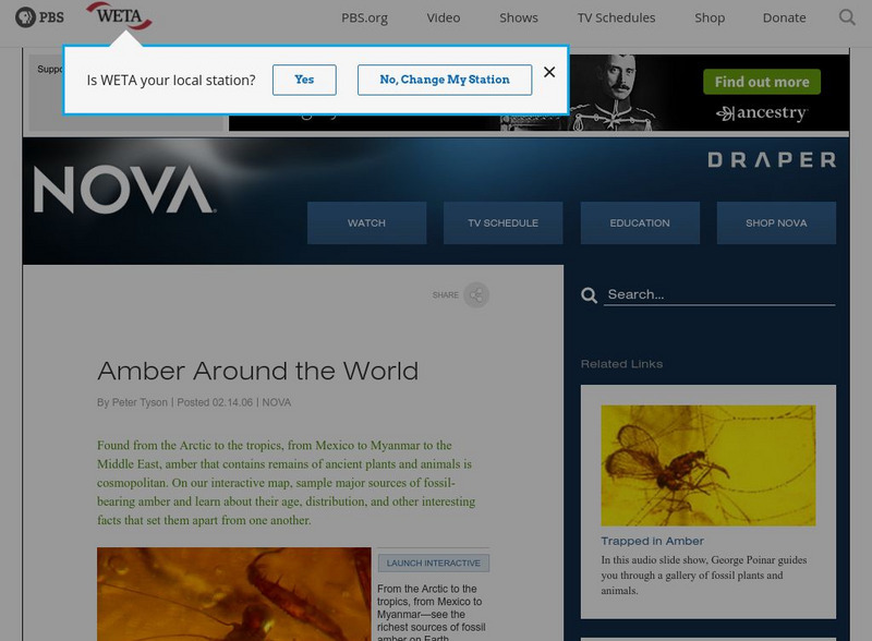 Nova: Amber Around the World Graphic