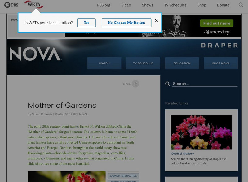 Pbs Nova: First Flower: China, Mother of Gardens Interactive Pbs Nova: First Flower: China, Mother of Gardens Interactive