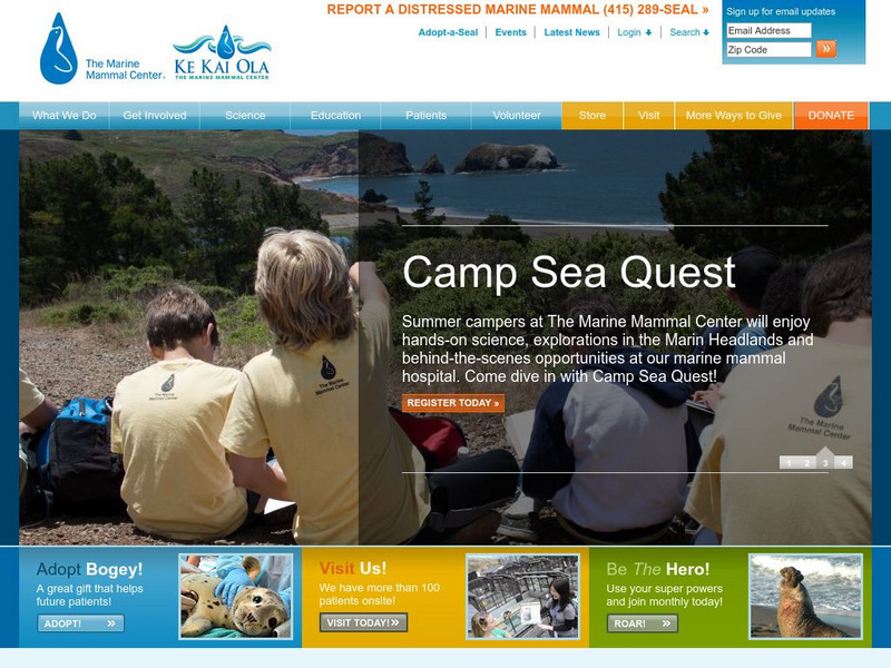The Marine Mammal Center Website The Marine Mammal Center Website