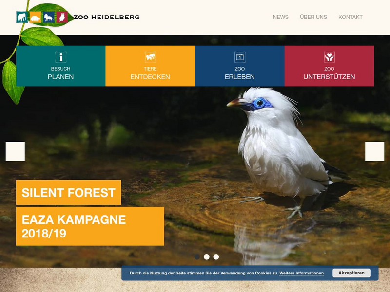 Zoo Heidelberg Website Zoo Heidelberg Website
