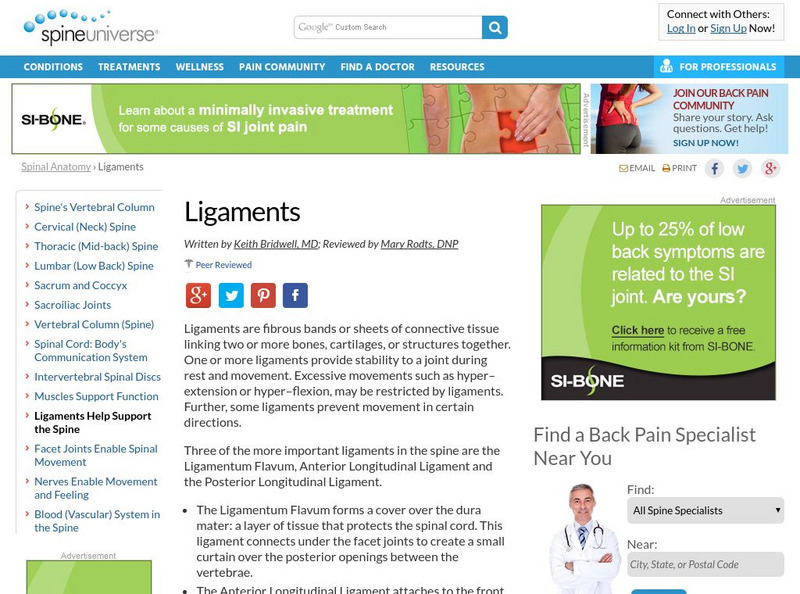 Spine Universe: Ligaments Handout Spine Universe: Ligaments Handout