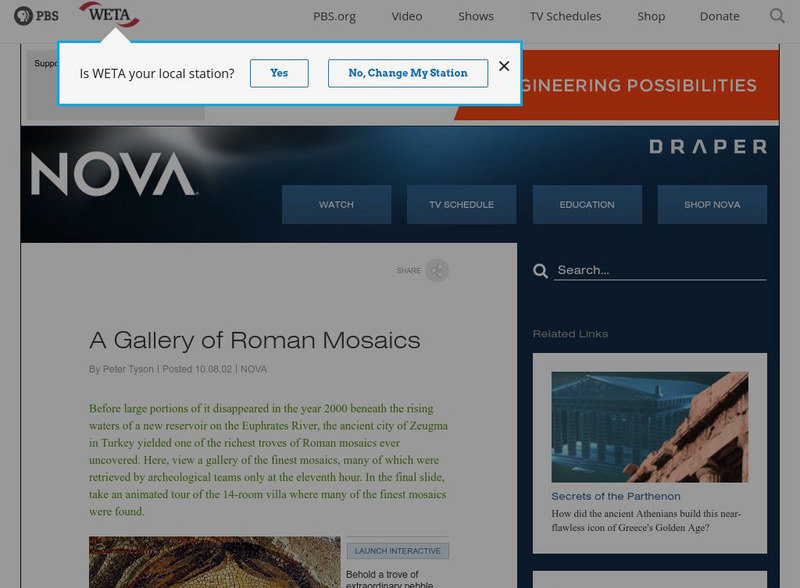 Nova Online: A Gallery of Roman Mosaics Instructional Video Nova Online: A Gallery of Roman Mosaics Instructional Video
