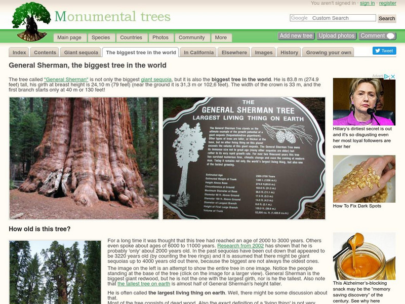 Monumental Trees: General Sherman: The Biggest Tree in the World Handout Monumental Trees: General Sherman: The Biggest Tree in the World Handout