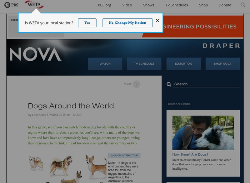 Nova: Dogs Around the World Interactive Nova: Dogs Around the World Interactive