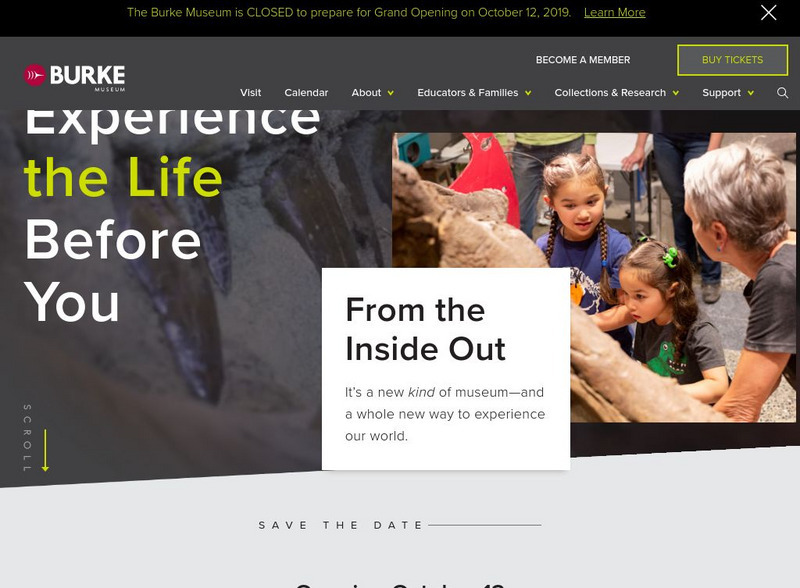 The Burke Museum of Natural History & Culture Website The Burke Museum of Natural History & Culture Website