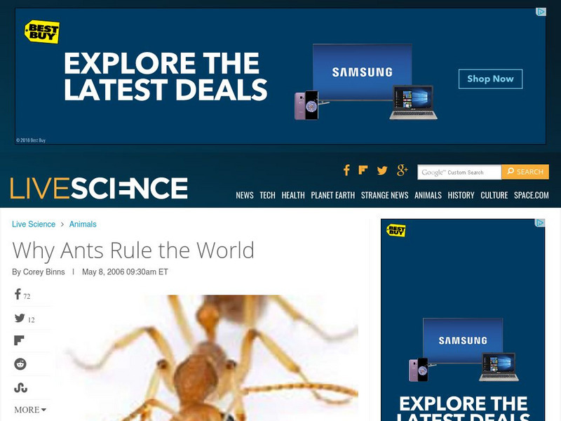 Live Science: Why Ants Rule the World Website