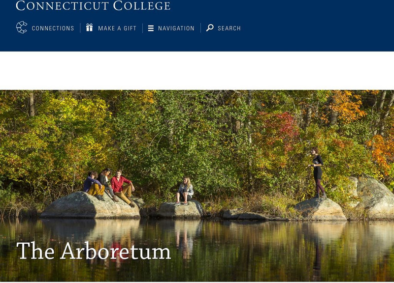 The Conneticut College Arboretum Website The Conneticut College Arboretum Website