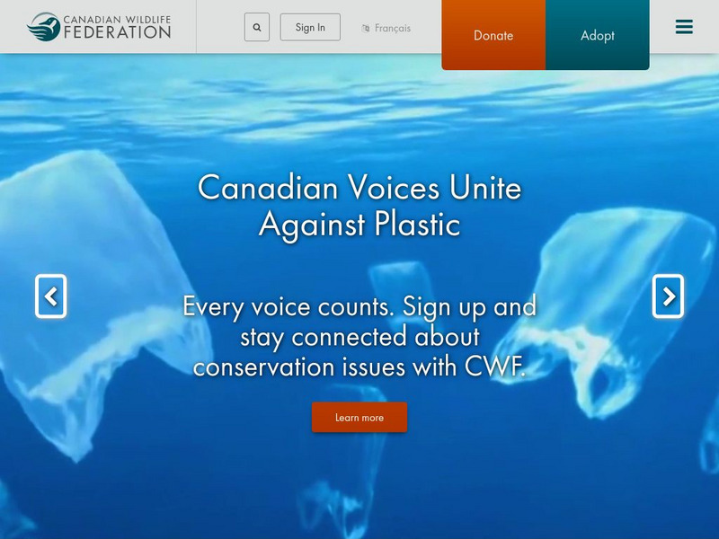 Wild About Gardening: Encyclopedia Website Wild About Gardening: Encyclopedia Website