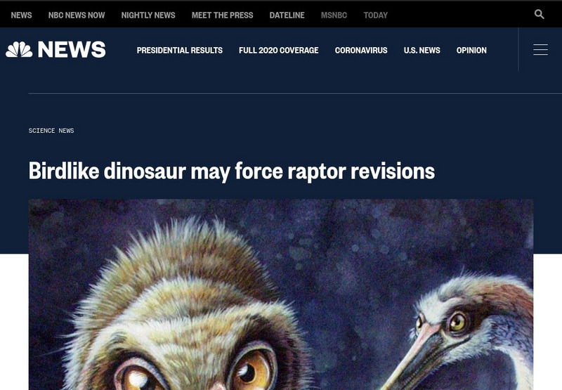 Msnbc.com: Birdlike Dinosaur May Force Raptor Revisions Unit Plan Msnbc.com: Birdlike Dinosaur May Force Raptor Revisions Unit Plan