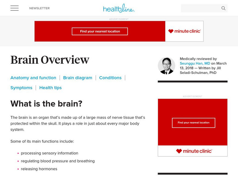 Healthline: Three Dimensional Body Map: Nervous System Website Healthline: Three Dimensional Body Map: Nervous System Website