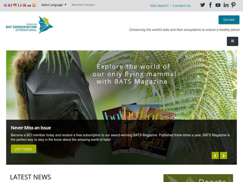 Bat Conservation International, Inc. Website Bat Conservation International, Inc. Website