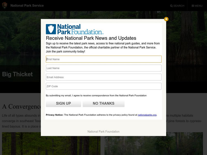 National Park Service: Big Thicket National Preserve Website National Park Service: Big Thicket National Preserve Website
