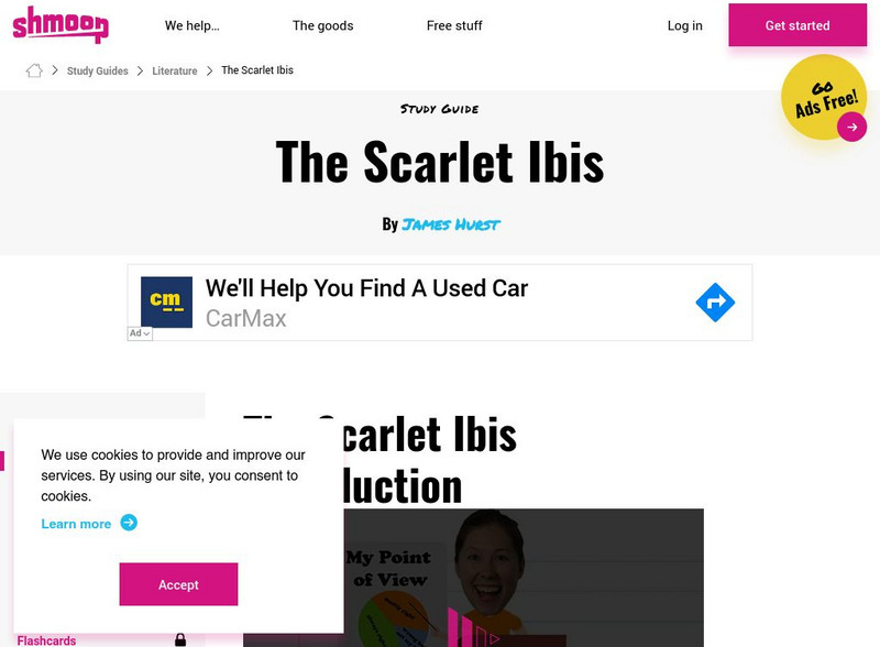 Shmoop: The Scarlet Ibis Activity