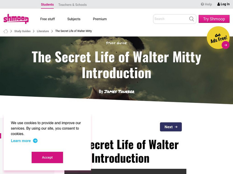 Shmoop: The Secret Life of Walter Mitty Activity Shmoop: The Secret Life of Walter Mitty Activity