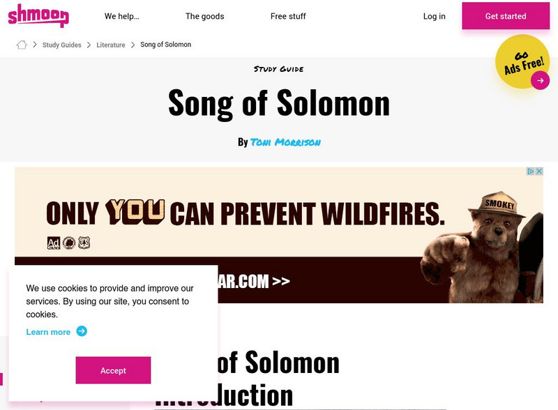 Shmoop: Song of Solomon Activity