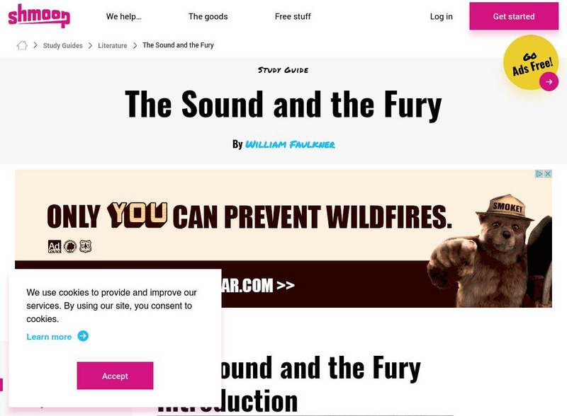 Shmoop: The Sound and the Fury Activity