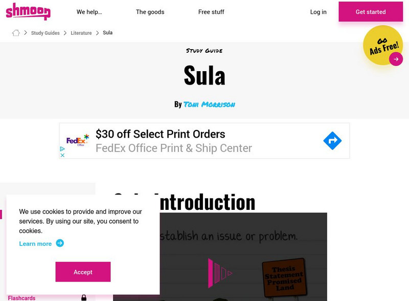 Shmoop: Sula Activity Shmoop: Sula Activity