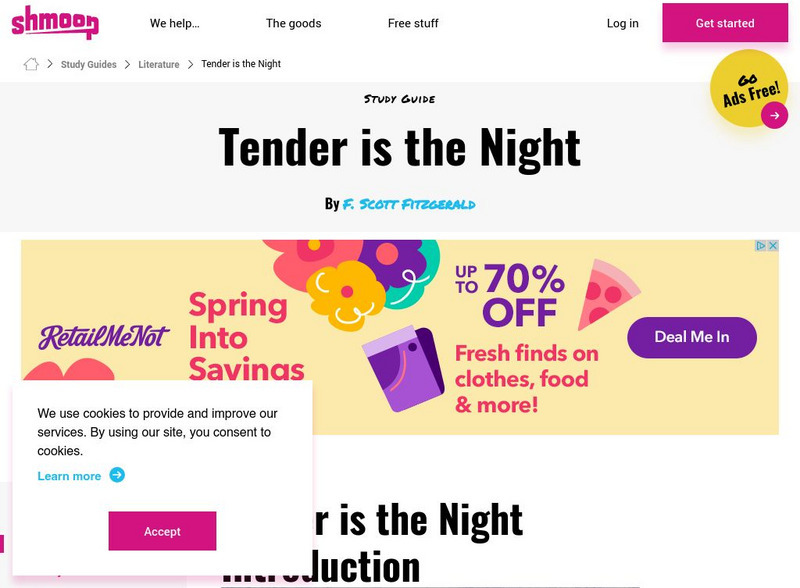 Shmoop: Tender Is the Night Activity
