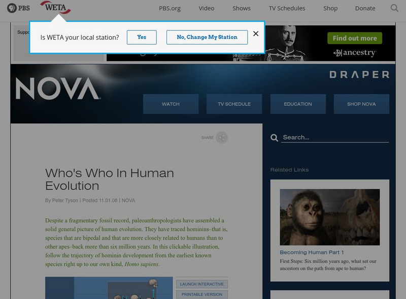 Pbs Nova: Who's Who in Human Evolution Website Pbs Nova: Who's Who in Human Evolution Website