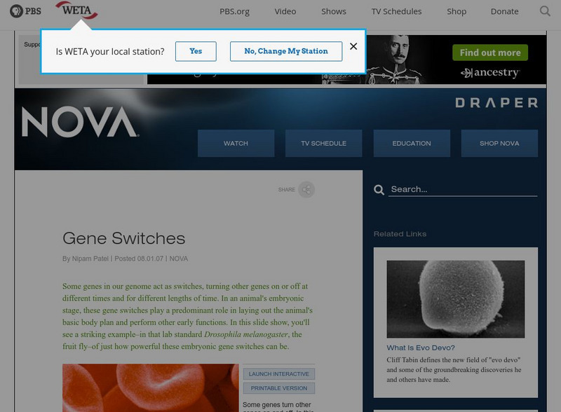 Pbs Nova: Gene Switches PPT Pbs Nova: Gene Switches PPT