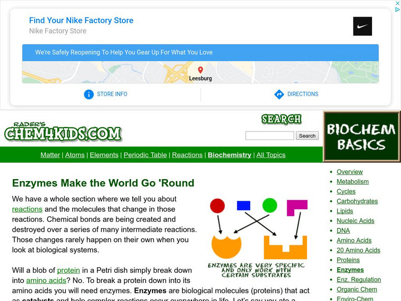 Chem4 Kids: Biochemistry: Enzymes Handout Chem4 Kids: Biochemistry: Enzymes Handout