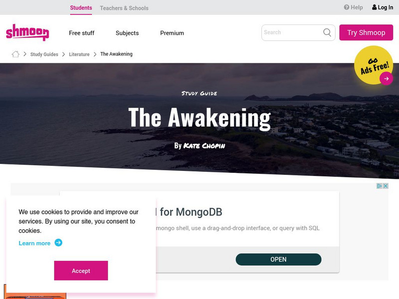 Shmoop: The Awakening Activity Shmoop: The Awakening Activity