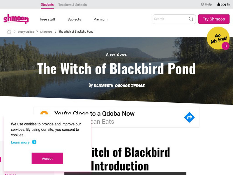 Shmoop: The Witch of Blackbird Pond Website