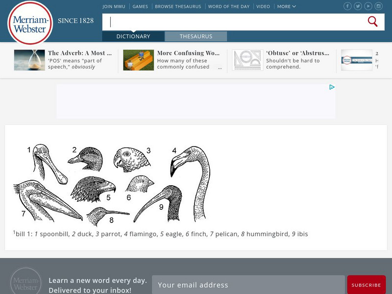 Merriam Webster: Dictionary Illustration: Bird Beaks and Bills Graphic Merriam Webster: Dictionary Illustration: Bird Beaks and Bills Graphic