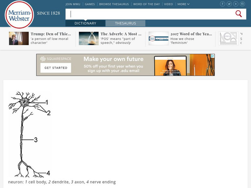 Merriam Webster: Dictionary Illustration: Neuron Graphic