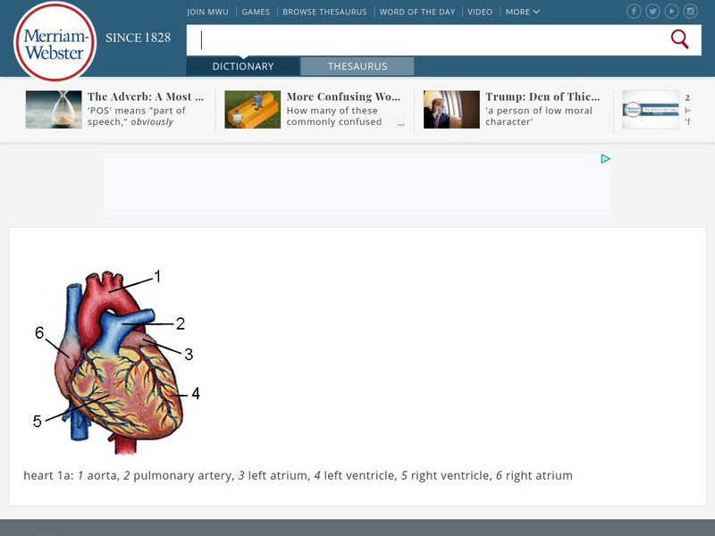 Merriam Webster: Dictionary Illustration: Heart Graphic Merriam Webster: Dictionary Illustration: Heart Graphic