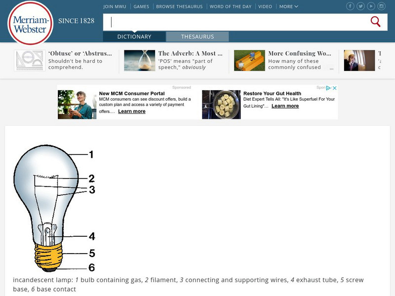 Merriam Webster: Dictionary Illustration: Incandescent Lamp Graphic Merriam Webster: Dictionary Illustration: Incandescent Lamp Graphic