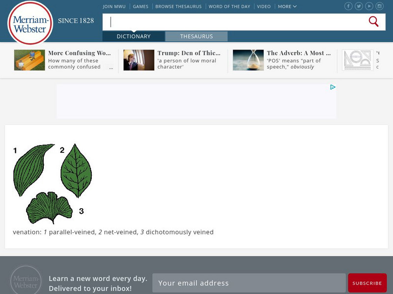 Merriam Webster: Dictionary Illustration: Venation Graphic Merriam Webster: Dictionary Illustration: Venation Graphic