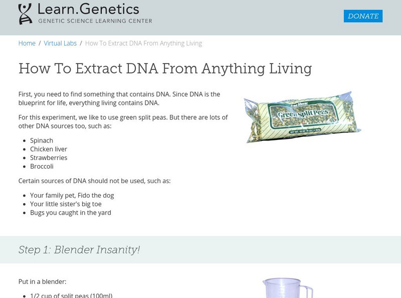 University of Utah: learn.genetics: How to Extract Dna From Anything Living Activity University of Utah: learn.genetics: How to Extract Dna From Anything Living Activity