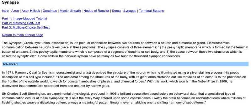 Athabasca University: Synapse Unit Plan