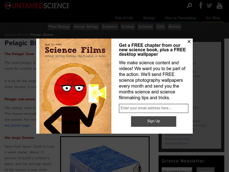 Untamed Science: Biology: World Biomes: Pelagic Biome Website Untamed Science: Biology: World Biomes: Pelagic Biome Website