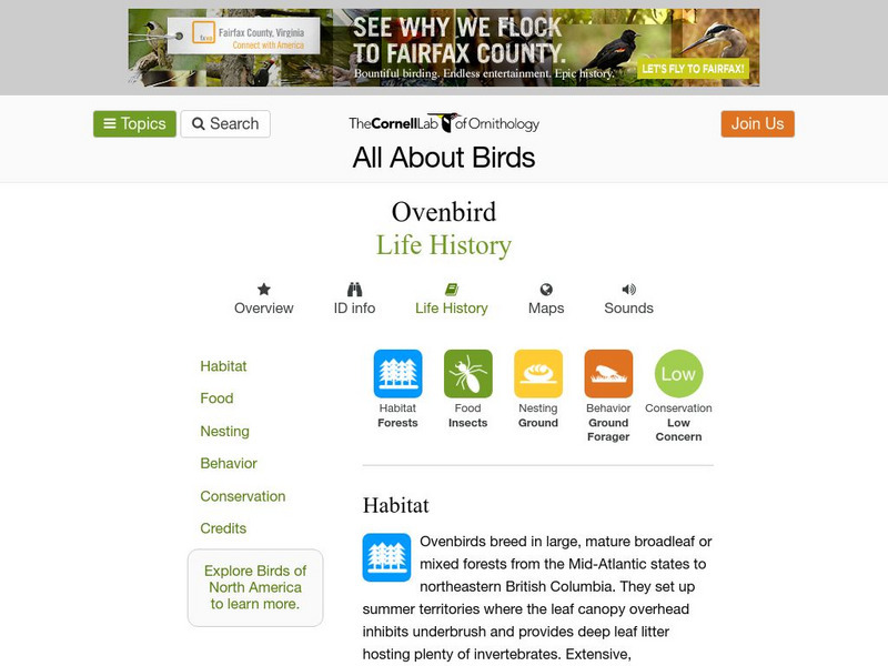 Cornell Lab of Ornithology: Ovenbird Handout Cornell Lab of Ornithology: Ovenbird Handout