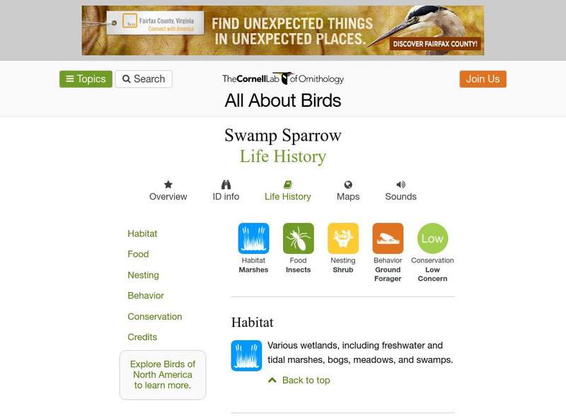 Cornell Lab of Ornithology: Swamp Sparrow Handout Cornell Lab of Ornithology: Swamp Sparrow Handout