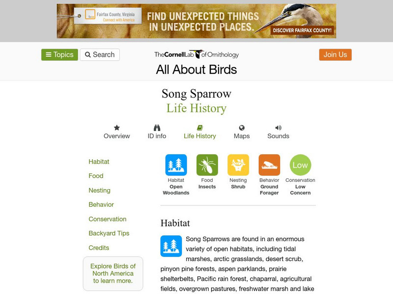 Cornell Lab of Ornithology: Song Sparrow Handout Cornell Lab of Ornithology: Song Sparrow Handout