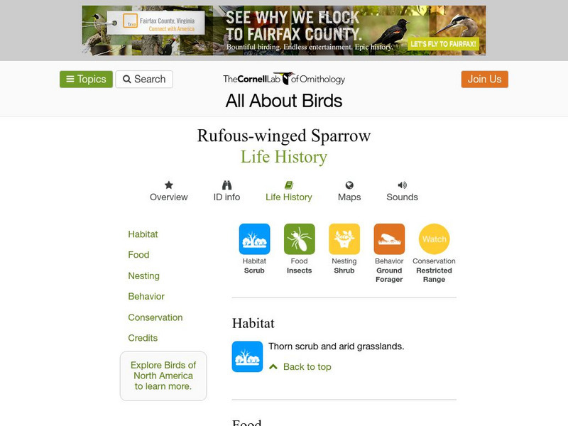 Cornell Lab of Ornithology: Rufous Winged Sparrow Handout Cornell Lab of Ornithology: Rufous Winged Sparrow Handout