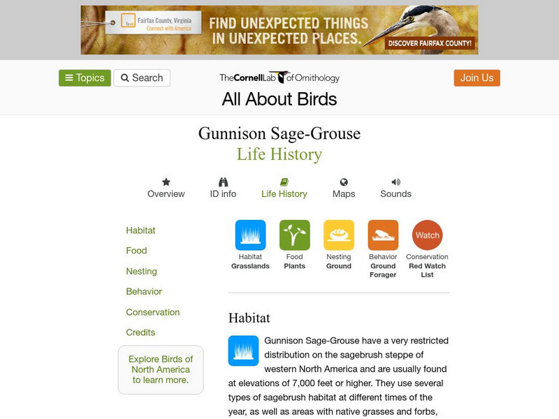 Cornell Lab of Ornithology: Gunnison Sage Grouse Handout