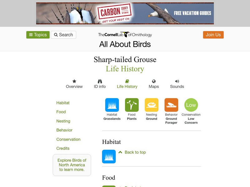 Cornell Lab of Ornithology: Sharp Tailed Grouse Handout