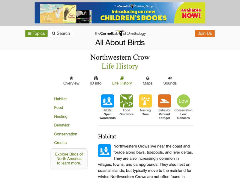 Cornell Lab of Ornithology: Northwestern Crow Handout