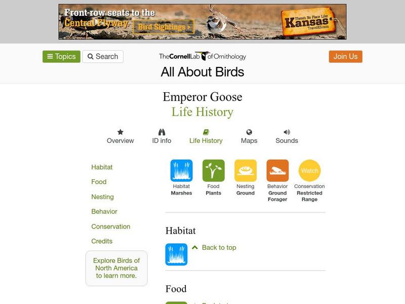 Cornell Lab of Ornithology: Emperor Goose Handout Cornell Lab of Ornithology: Emperor Goose Handout