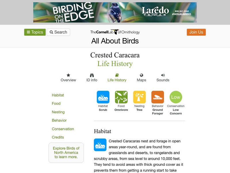 Cornell Lab of Ornithology: Crested Caracara Handout